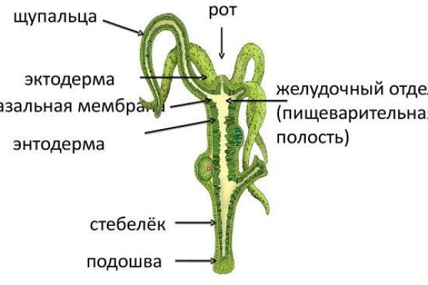 Ссылка на кракен kraken clear com