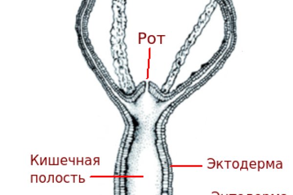 Кракен площадка kraken clear com