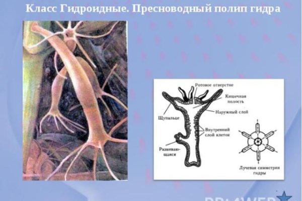 Кракен маркетплейс товары