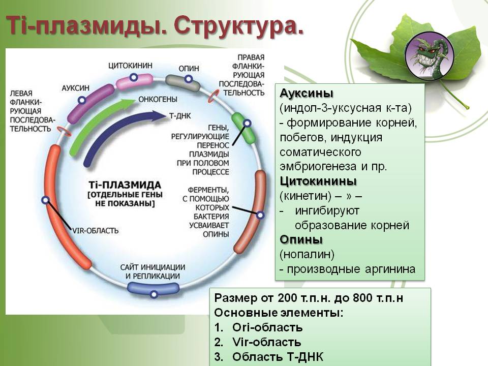 Кракен телеграмм