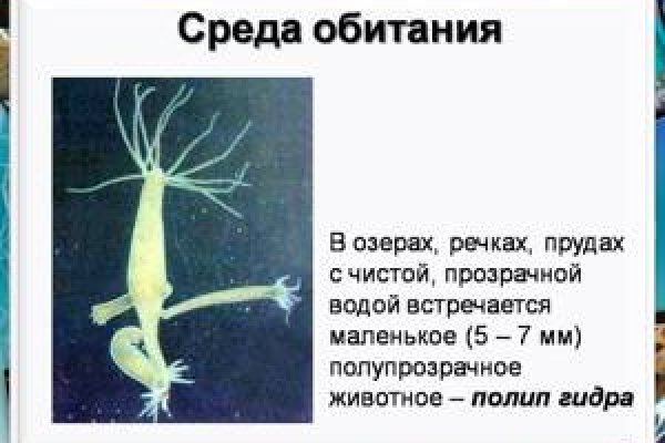 Кракен вход магазин