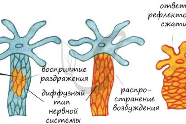 Kra37.cc