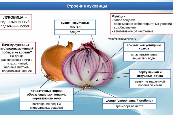 Не могу зайти на кракен